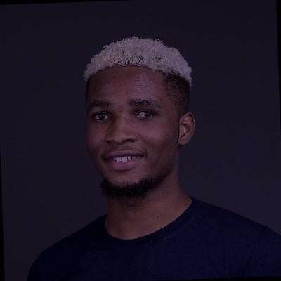 Headshot of Oluwaseun Raphael Afolayan